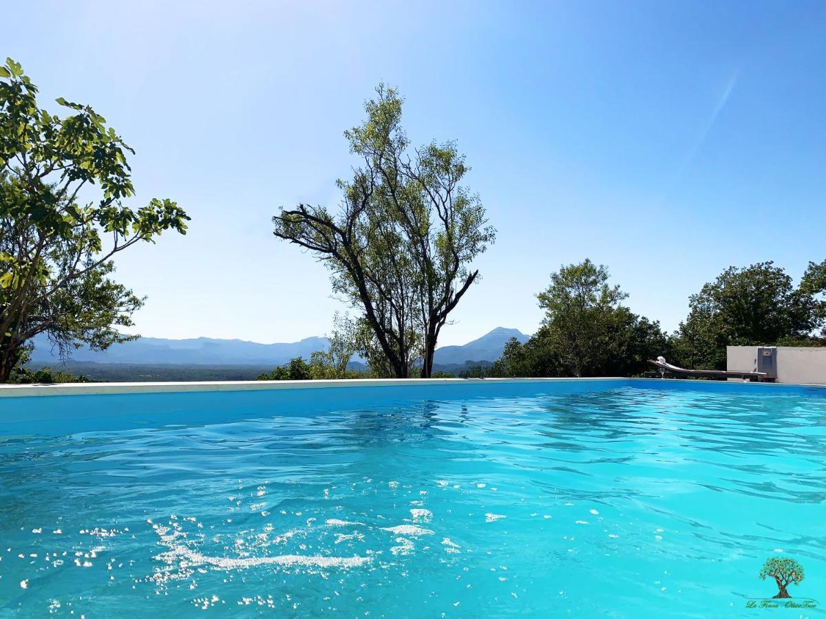 La Finca Olivetree Katuni Екстериор снимка